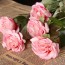 OURLOVE - 10 Heads Rose Artificial Flowers Silk Flowers Floral Home Wedding Party Garden Bridal Hydrangea Decoration Light Pink