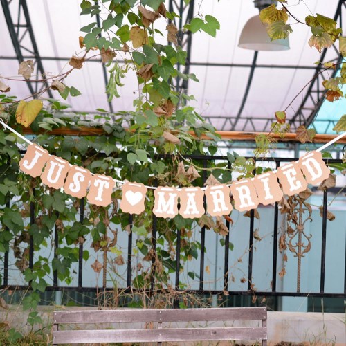 LX - Lovely Vintage Wedding Party Photo Just Married Banner Garlands Decorations