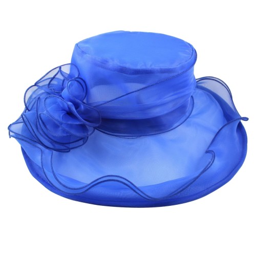 TN - Beach Women Dress Summer Sunscreen Wide Brim Hat Organza Blue