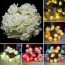 DODO - Led Rose Flower Garden Party Lights Pink